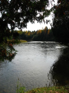 The Au Sable River at Thompson's Landing by Linda N. 